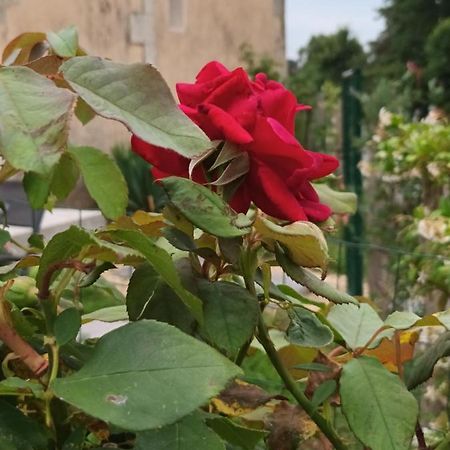 Gite Aux Vieux Bois Lunas  Exterior foto