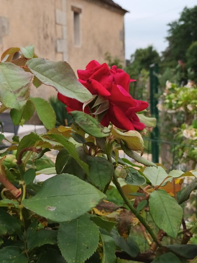 Gite Aux Vieux Bois Lunas  Exterior foto