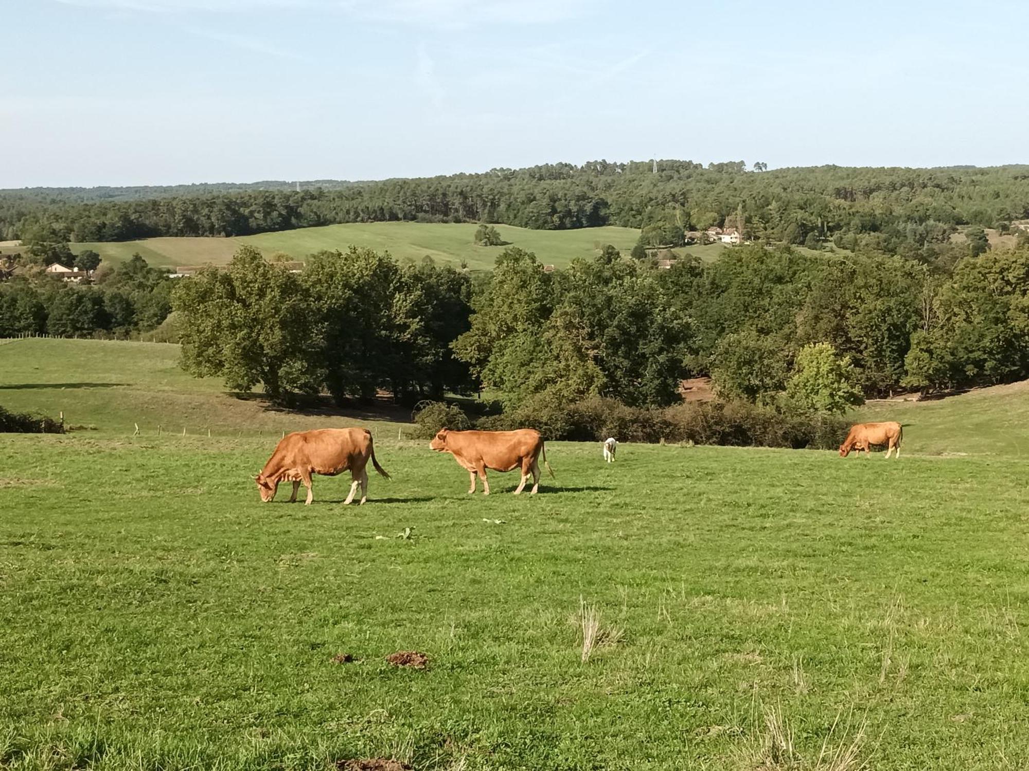 Gite Aux Vieux Bois Lunas  Exterior foto